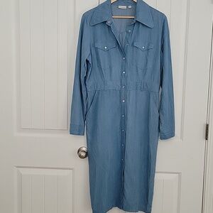 Eva Mendes for New York & Company Long Sleeve Blue Dress